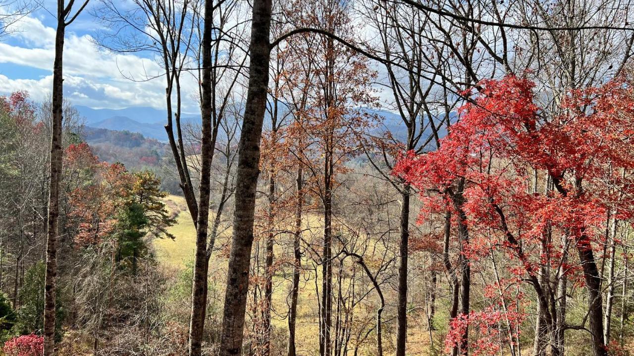 Misty Mountain Cottage ウェインズビル エクステリア 写真